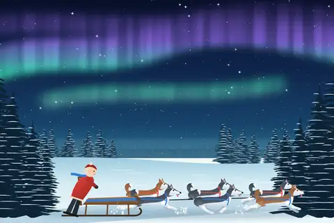Husky Sled Team